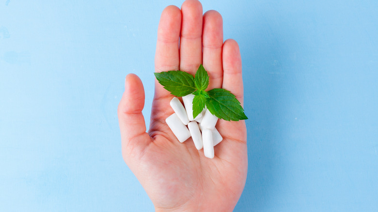 chewing gum and mint leaves in a hand