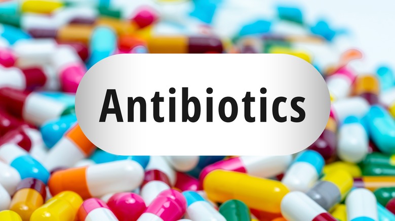 Antibiotics written on pill