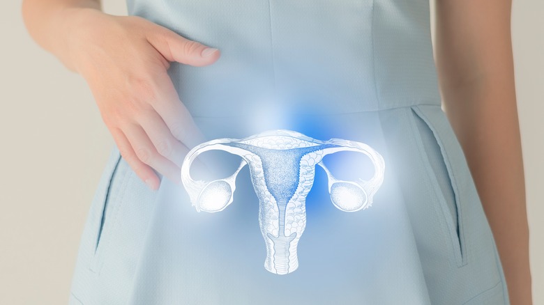 Uterus graphic over woman's abdomen