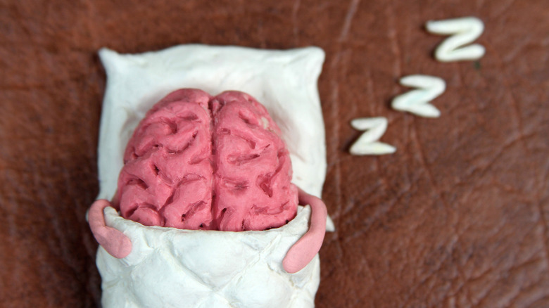 plastic brain in a sleeping bag 