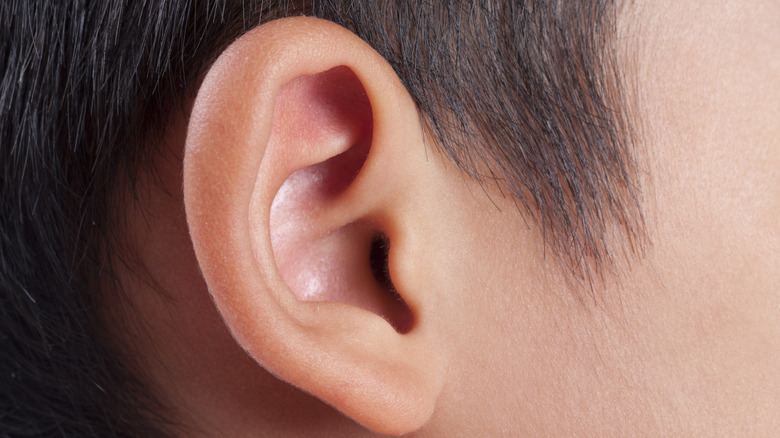 ear