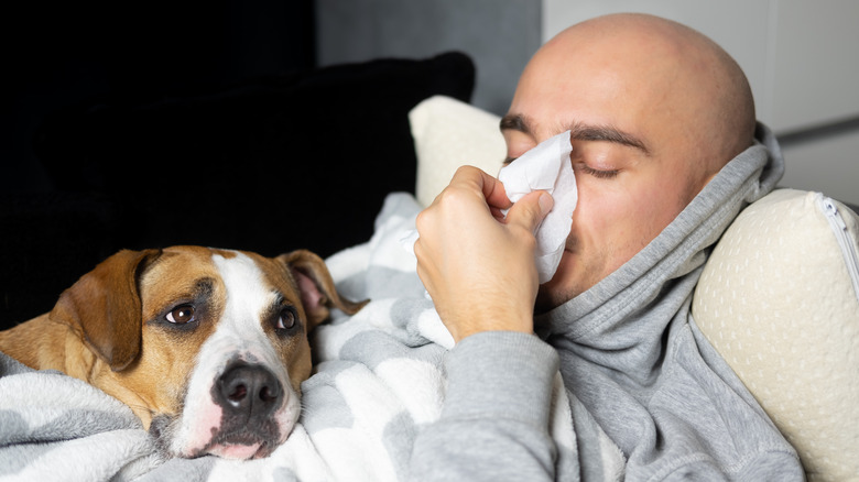 Man with dog uses Kleenex