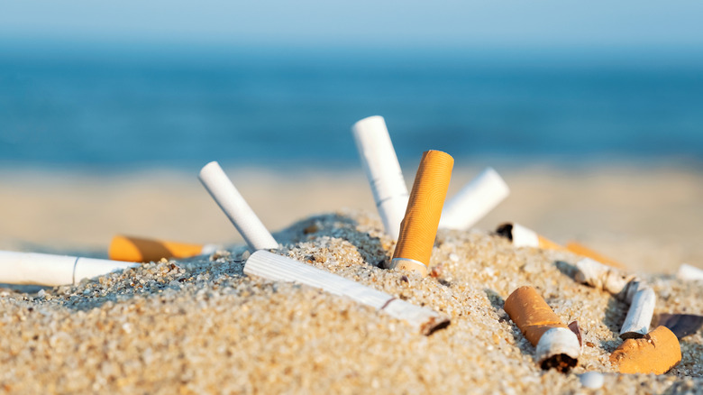 Close up of cigarette butts in the sand at the beach with the ocean in the background
