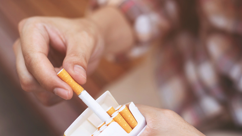 man pulling cigarette out of box