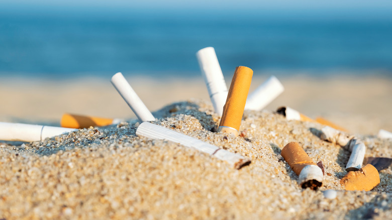 Cigarettes in the sand at beach