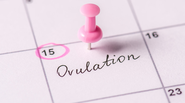 ovulation marked on calendar
