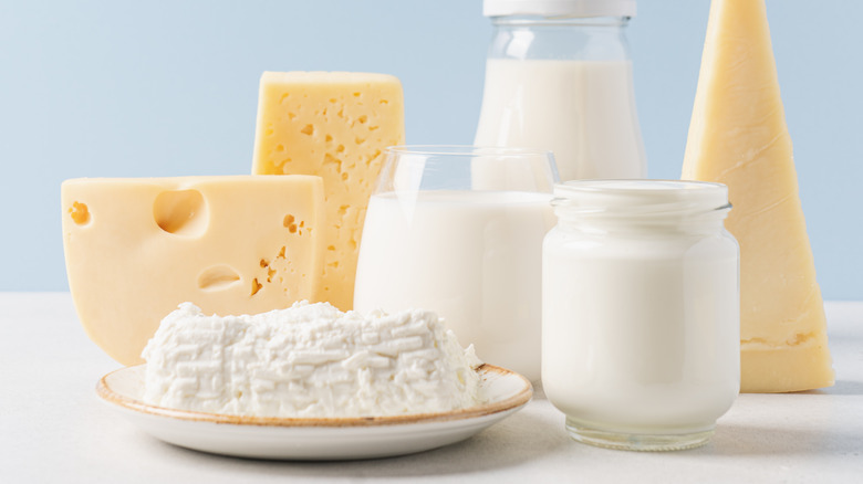 cheese, milk, and other dairy products on a table