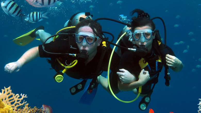 couple diving among coral reefs 