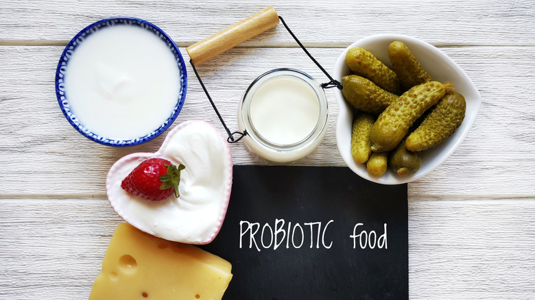 variety of probiotic-rich foods