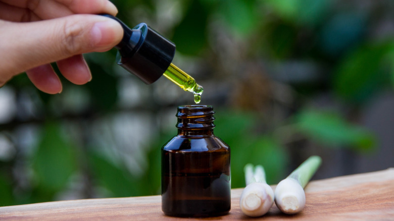 lemongrass essential oil in dropper