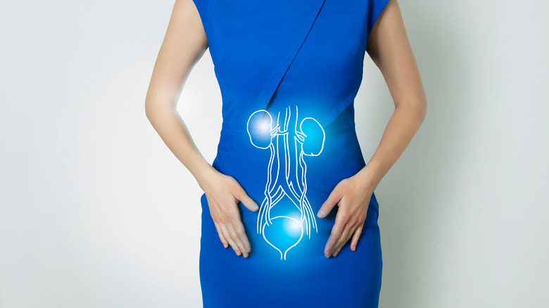Blue dress with kidneys graphic 