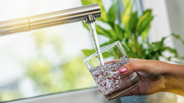 Hand holding glass of water