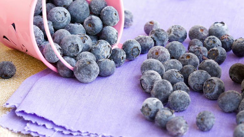 Blueberries tumbling out of pink bucket onto purple cloth