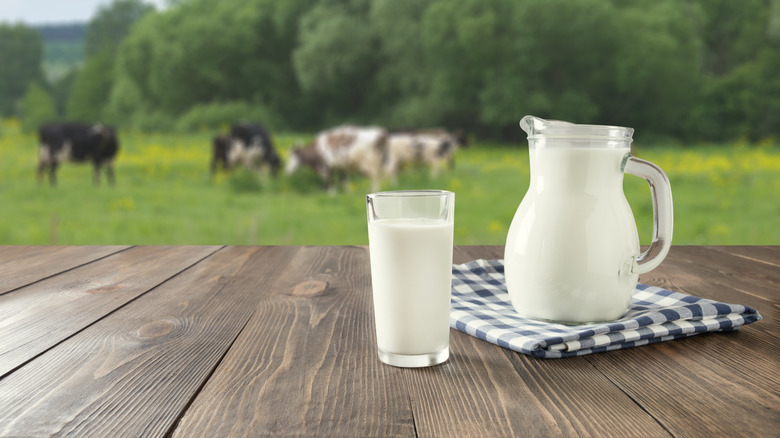 glass and pitcher of milk with a dairy farm in the background 