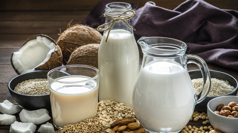 Different plant-based milks