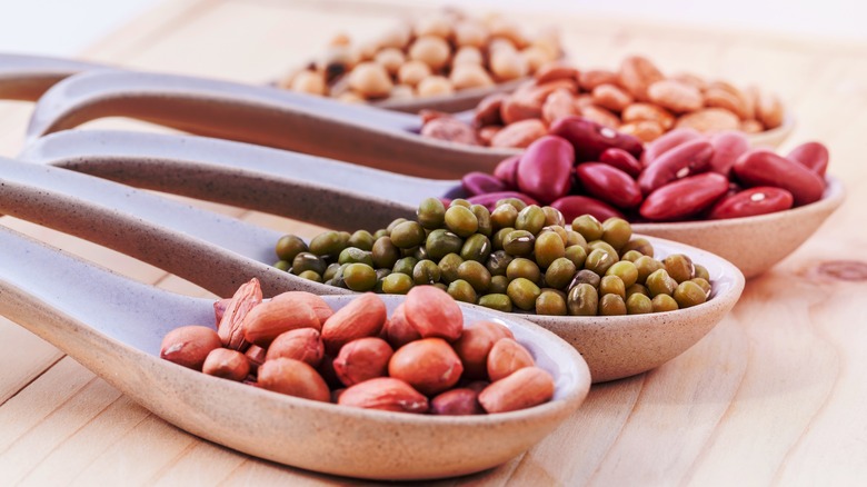 varieties of beans on wooden spoons