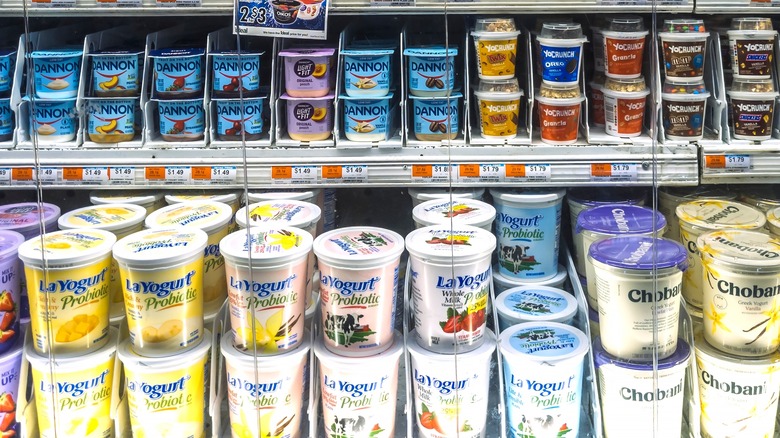 brands of yogurt