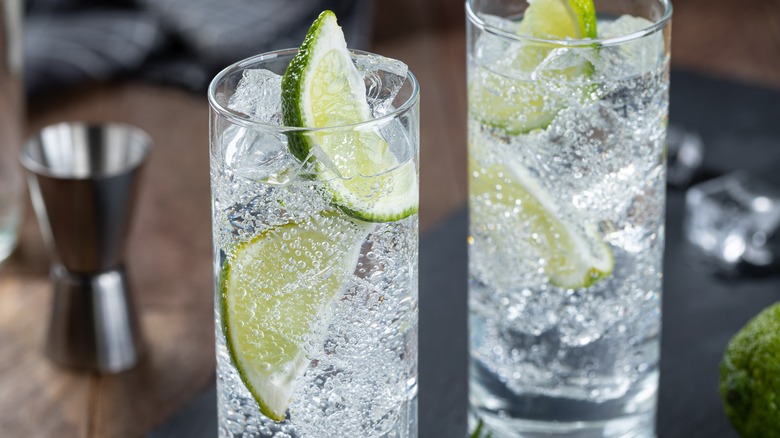 Two gin and tonic beverages