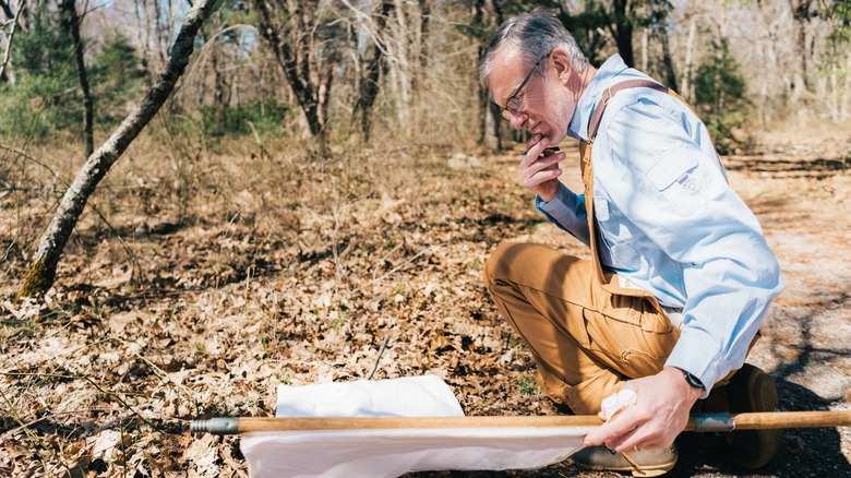 Dr. Thomas Mather in the woods, looking for ticks