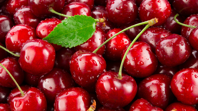 Overhead shot of a bunch of wet cherries