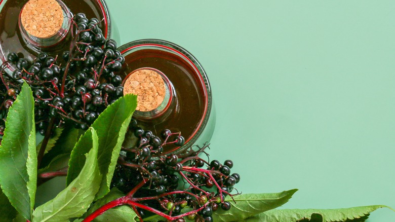 elderberries and syrup on green backdrop