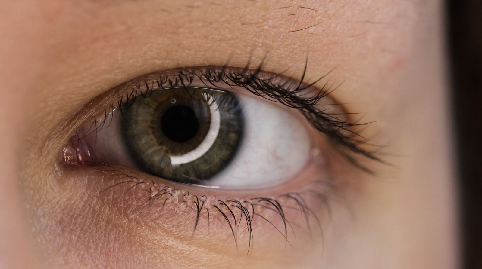 Treating Diabetic Eye Disease May Benefit From A New Approach
