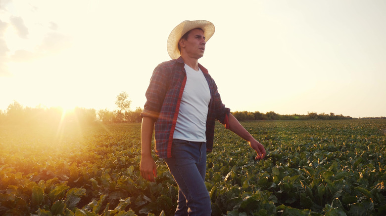 A guy in a farmer hat, walking
