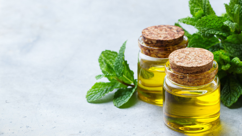 Peppermint essential oil with peppermint leaves
