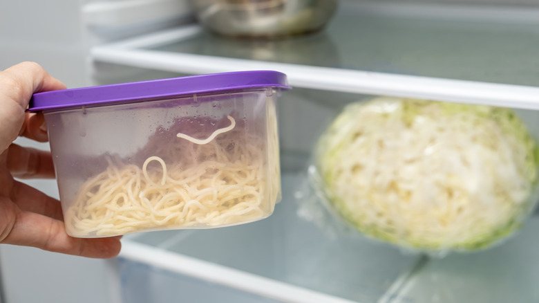 placing leftover spaghetti in refrigerator