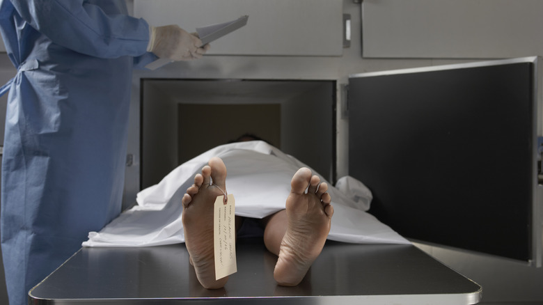 Dead body in morgue 
