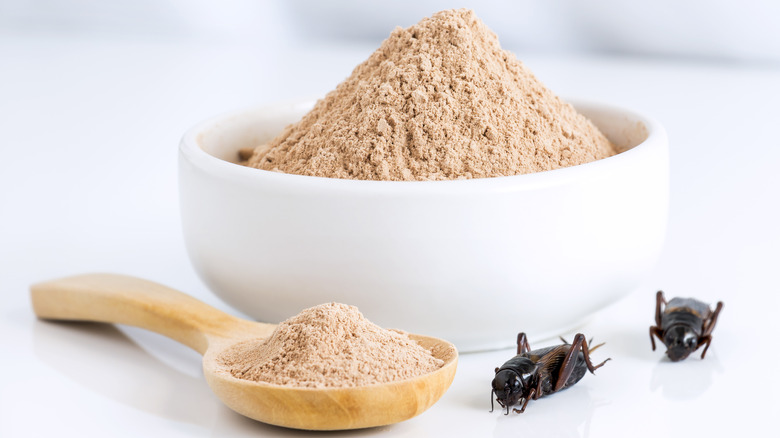 Protein powder made from crickets