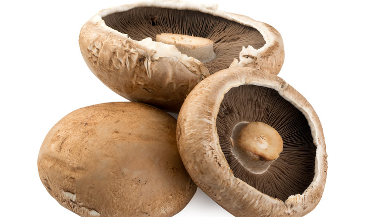 three portobello mushrooms on a white background