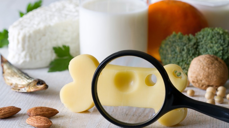 Bone-shaped cheese and magnifying glass