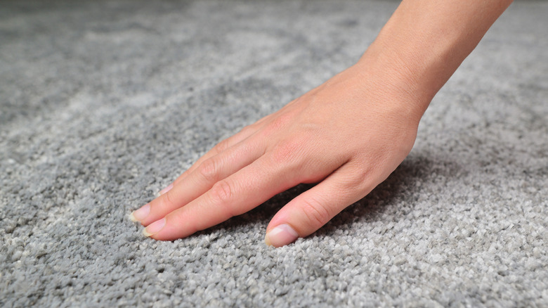 hand touching a carpet