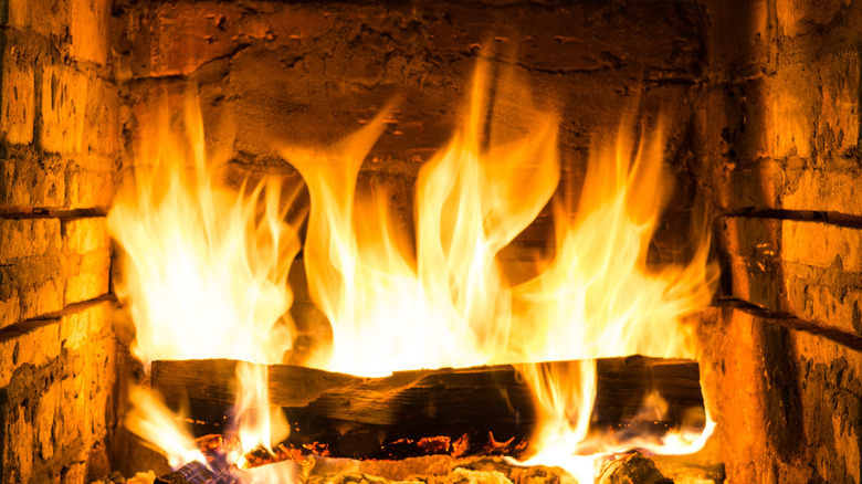 Wood burning in fireplace