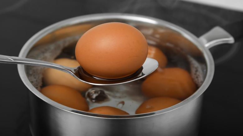 Eggs in a saucepan on a stove