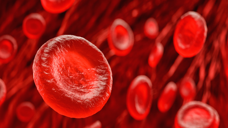 Illustration of red blood cells