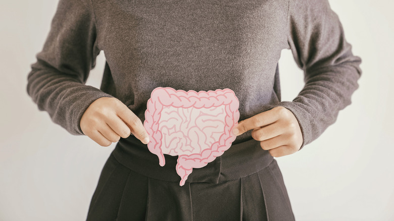 Woman holding cutout illustration intestines