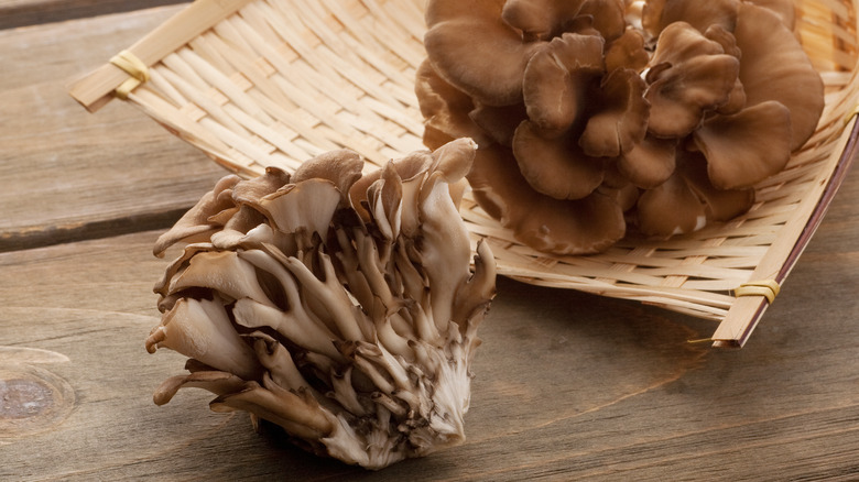 maitake mushrooms on a wood table