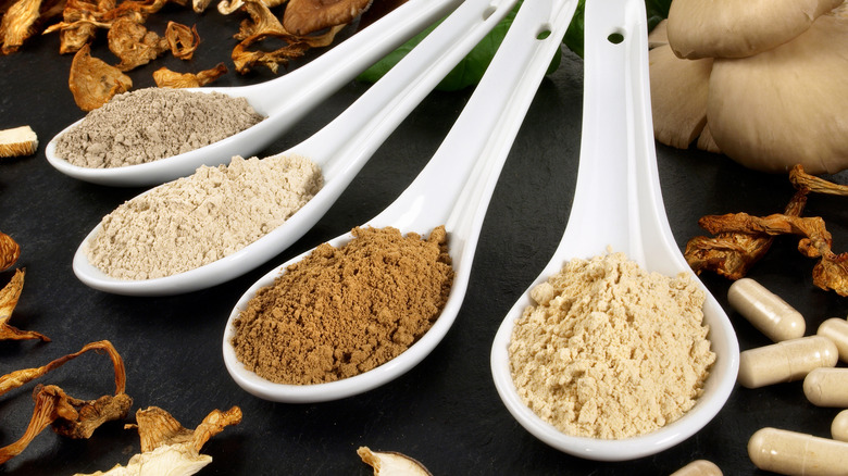 mushrooms ground into spoons of powder