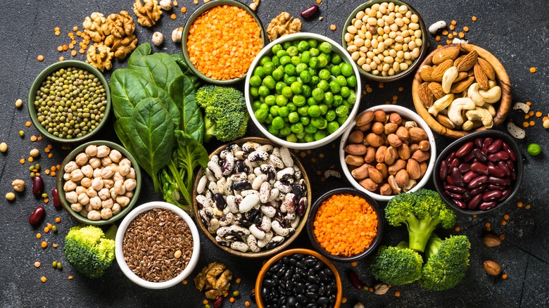 Top view of plant-based protein sources