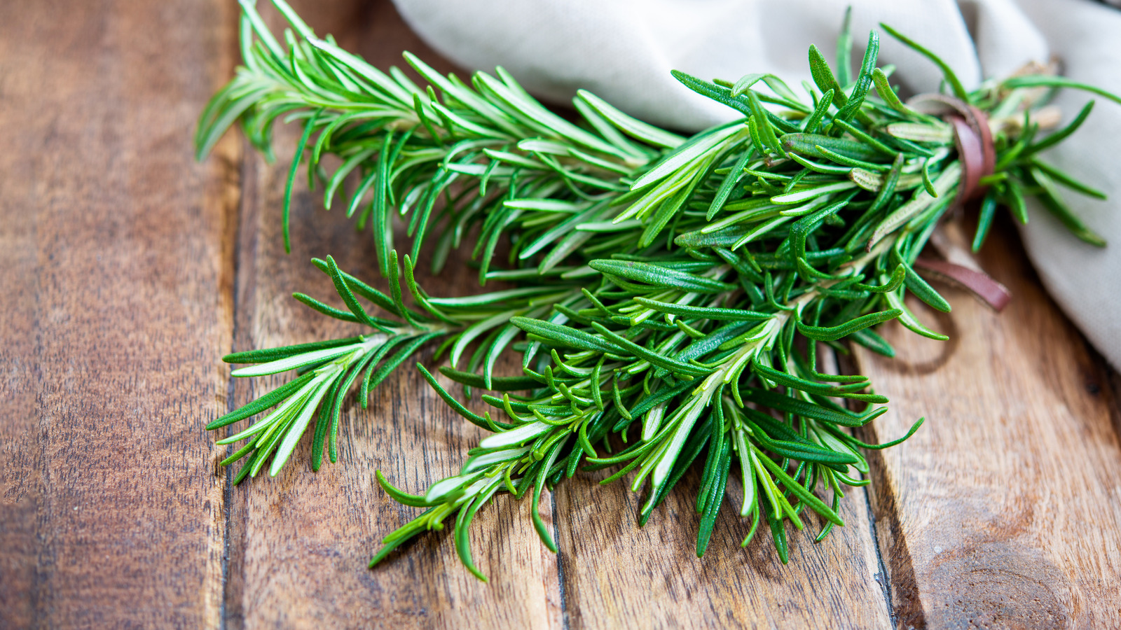 Unexpected Health Benefits Of Rosemary 2504