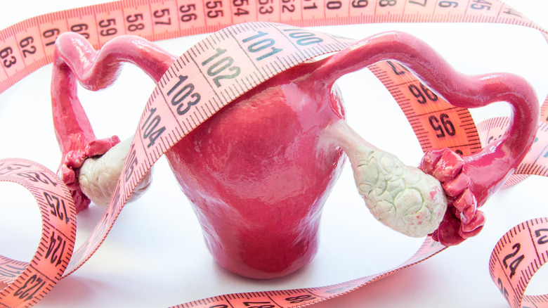 uterus wrapped in measuring tape