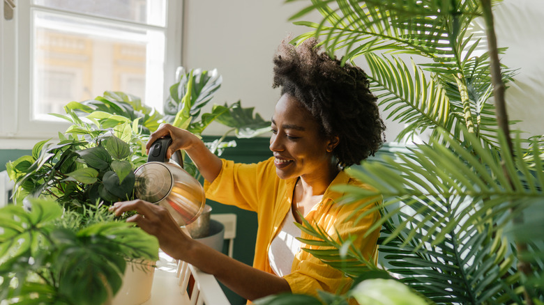 Woman watering houseplants