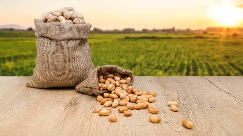 peanuts in bag, spilling out