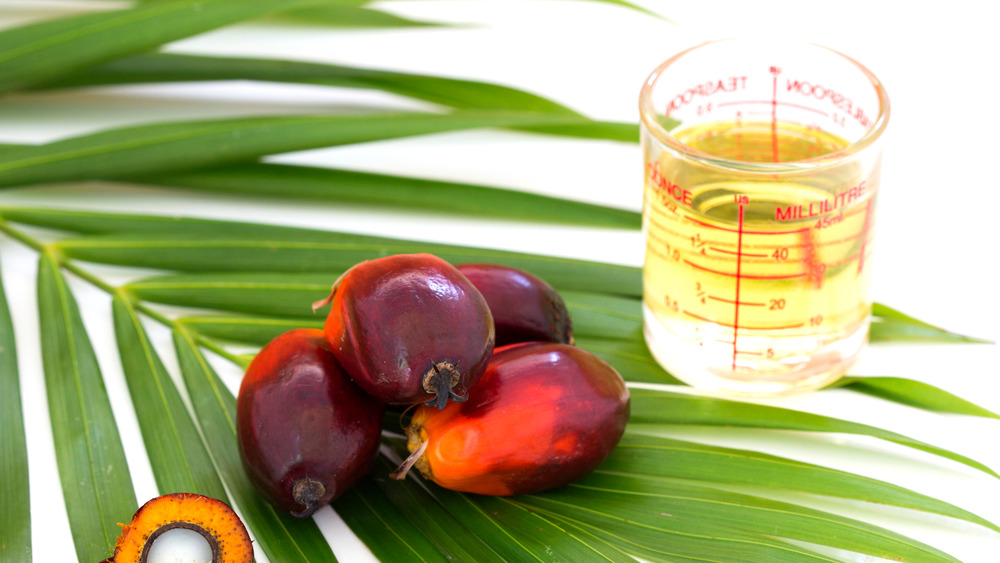 Palm oil and fruits on palm branch