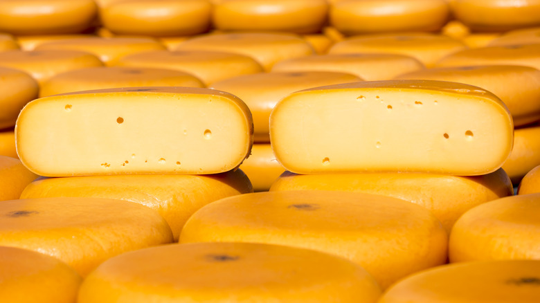 Traditional wheels of Gouda cheese