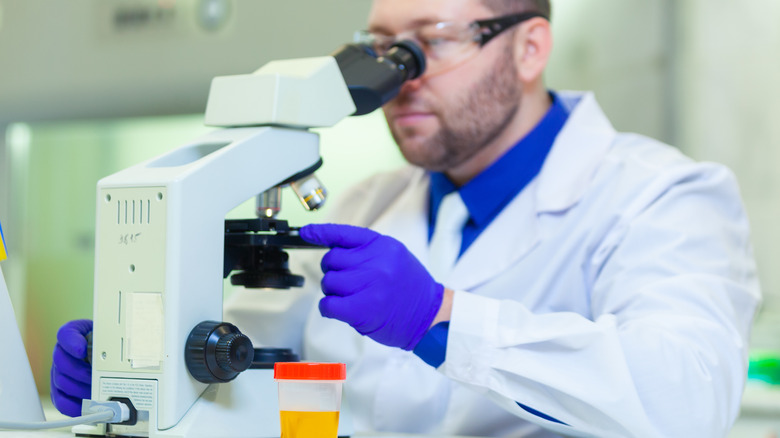 medical professional looking through microscope