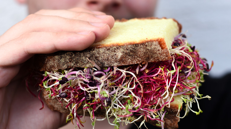 Man holding sandwich filled with radish and alfalfa sprouts