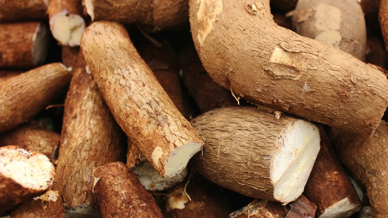 Pile of cassava root vegetables